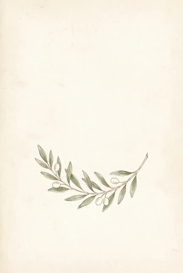 Capa de amostra: ramo de oliveira desenhado sobre papel creme